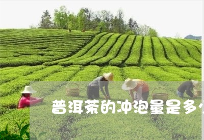 普洱茶的冲泡量是多少毫升的/2023110489385