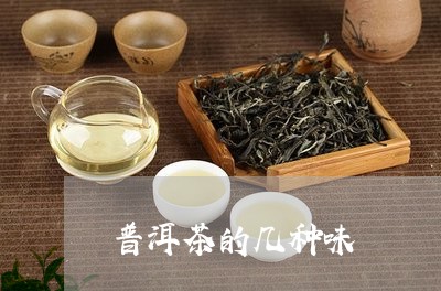 普洱茶的几种味/2023120381625