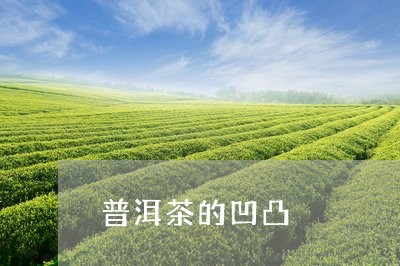 普洱茶的凹凸/2023042807438