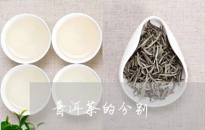 普洱茶的分别/2023091349461