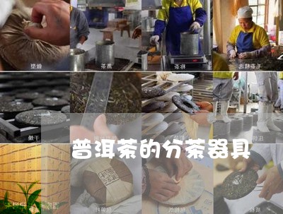 普洱茶的分茶器具/2023092926260