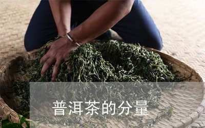 普洱茶的分量/2023042920