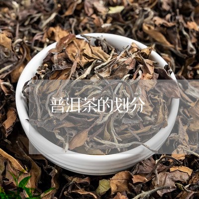 普洱茶的划分/2023042716785