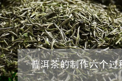 普洱茶的制作六个过程/2023093091604