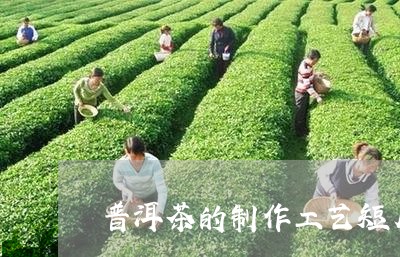 普洱茶的制作工艺短片/2023120701592