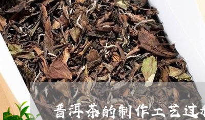 普洱茶的制作工艺过程/2023062388804