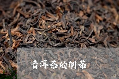 普洱茶的制茶/2023042871770