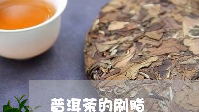 普洱茶的刷脂/2023042994680