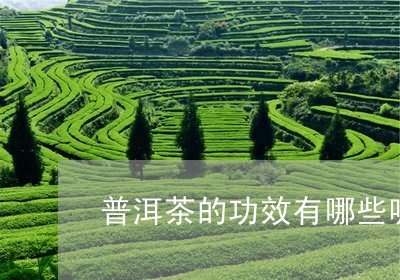 普洱茶的功效有哪些呢/2023062235157