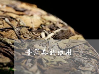 普洱茶的功用/2023042932633