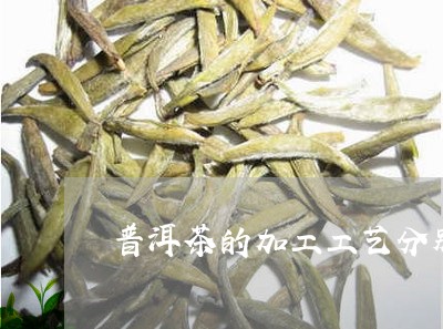 普洱茶的加工工艺分别/2023080163804