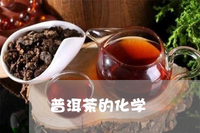 普洱茶的化学/2023042759363