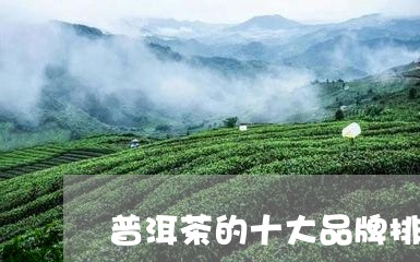 普洱茶的十大品牌排名榜/2023082495049