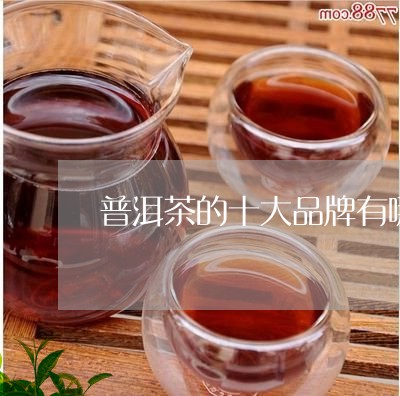 普洱茶的十大品牌有哪些牌子/2023052887149