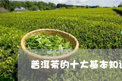 普洱茶的十大基本知识/2023092665718