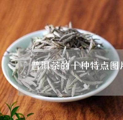 普洱茶的十种特点图片及价格/2023121763715