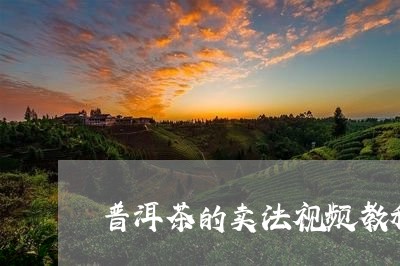 普洱茶的卖法视频教程/2023092707304