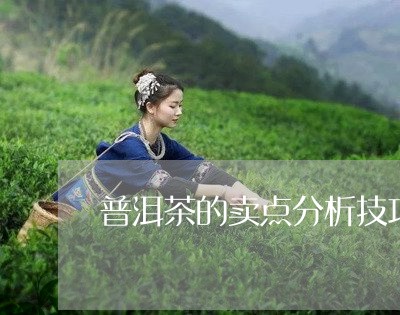 普洱茶的卖点分析技巧/2023120764825