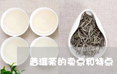 普洱茶的卖点和特点/2023082698150