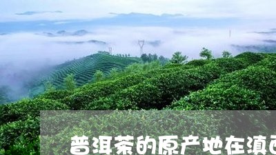 普洱茶的原产地在滇西/2023062028282