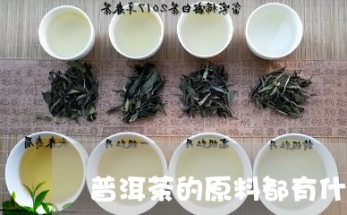 普洱茶的原料都有什么/2023080265352