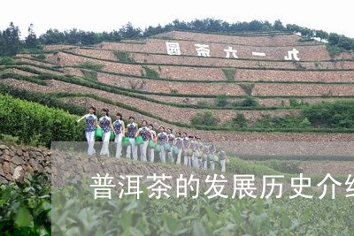 普洱茶的发展历史介绍/2023062707372