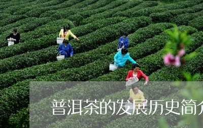 普洱茶的发展历史简介概括/2023112414936