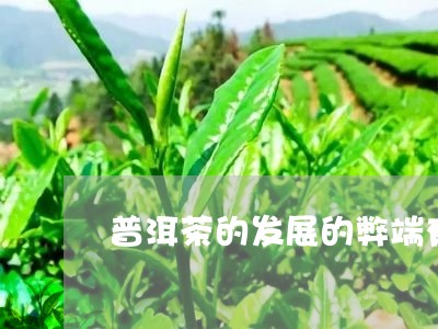 普洱茶的发展的弊端有哪些/2023112464049