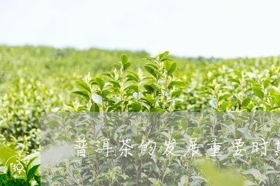 普洱茶的发展重要时期/2023062529571