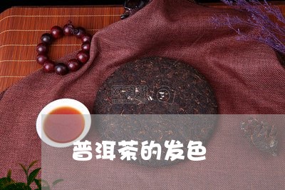 普洱茶的发色/2023042807733