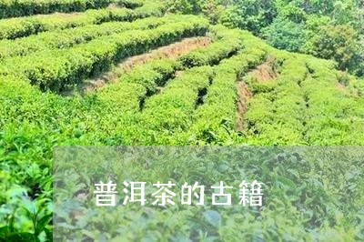 普洱茶的古籍/2023042734454