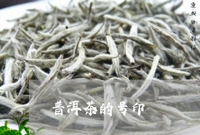 普洱茶的号印/2023042586156