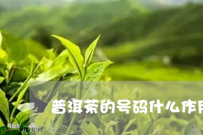 普洱茶的号码什么作用/2023080362837