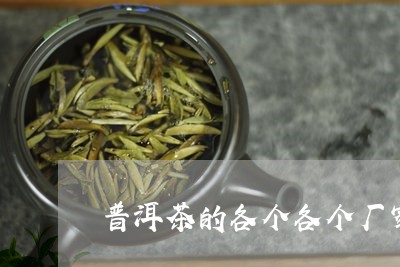 普洱茶的各个各个厂家的/2023122006039