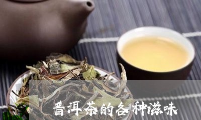 普洱茶的各种滋味/2023120447169