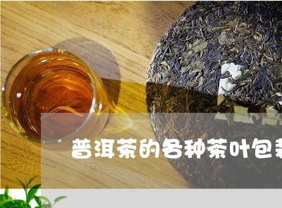 普洱茶的各种茶叶包装/2023100896959