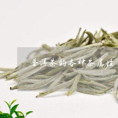 普洱茶的各种茶属性/2023070946261