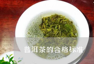 普洱茶的合格标准/2023120420694