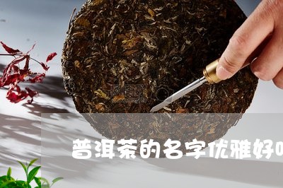 普洱茶的名字优雅好听点/2023082768362