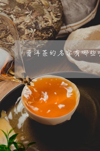 普洱茶的名字有哪些呢图片/2023112448271