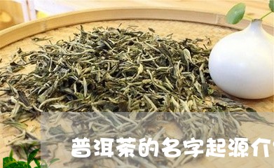 普洱茶的名字起源介绍/2023080387479