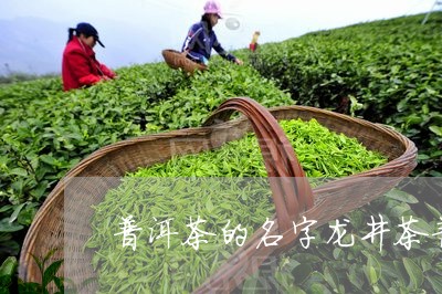 普洱茶的名字龙井茶普洱茶吗/2023052727958