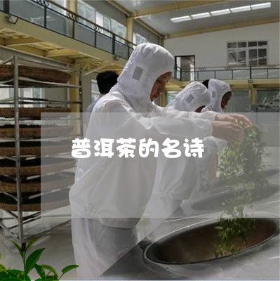 普洱茶的名诗/2023042872944