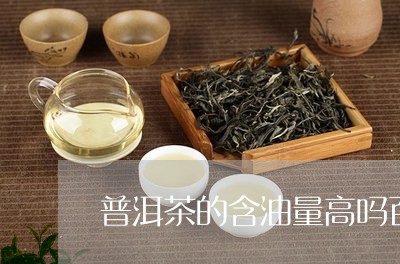 普洱茶的含油量高吗百度/2023121704140