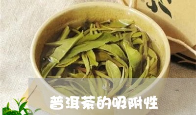 普洱茶的吸附性/2023120375049