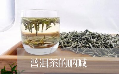 普洱茶的呐喊/2023081519383