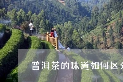 普洱茶的味道如何区分/2023062804025