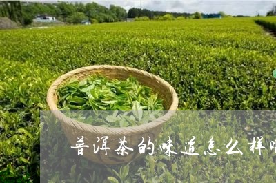 普洱茶的味道怎么样啊/2023120728163