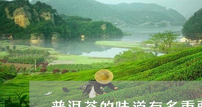 普洱茶的味道有多重要/2023092839280