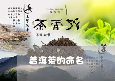 普洱茶的命名/2023042995572